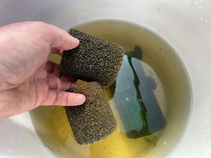 Aquarium Filter Cleaning