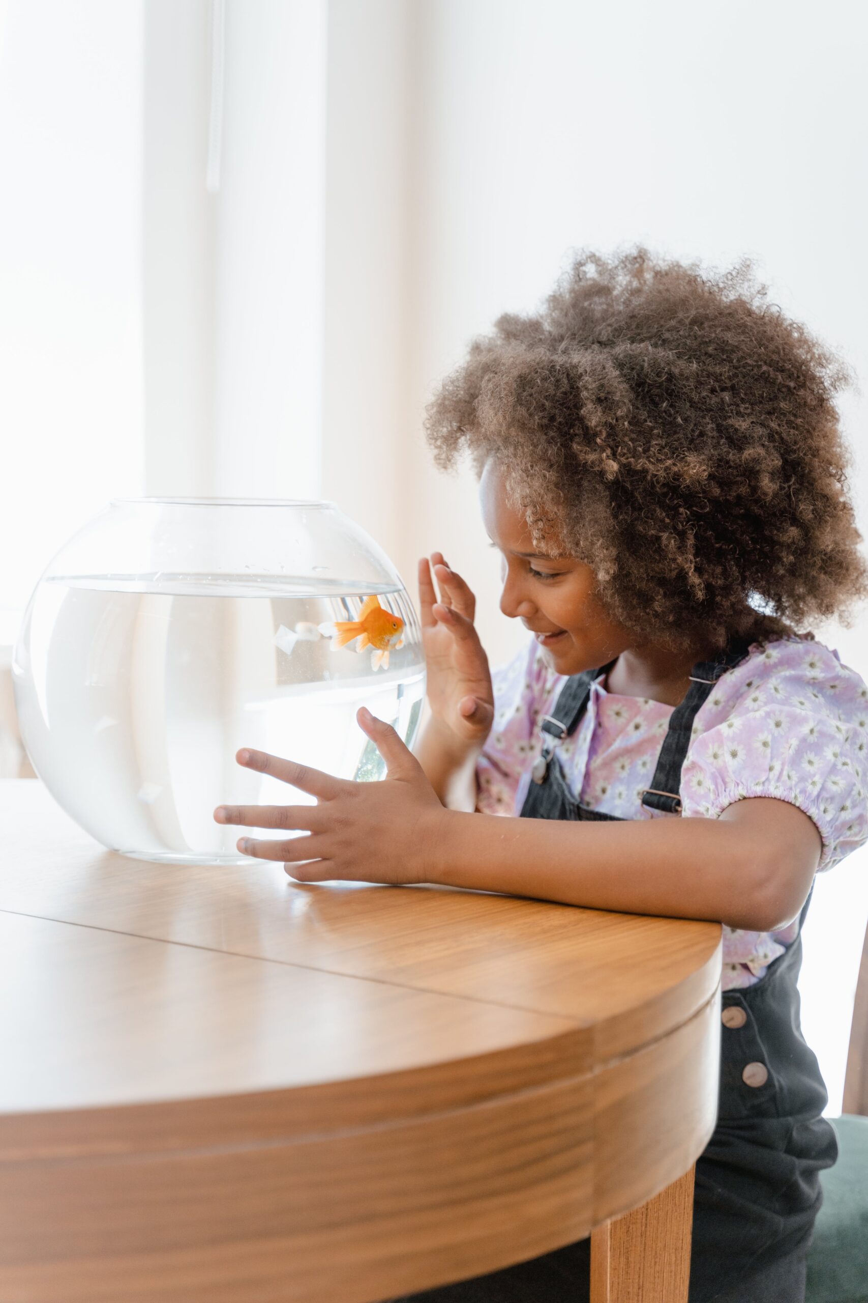 What Can You Feed Your Fish? Best Practices for Feeding Time