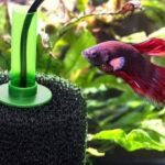 Aquarium Filter Without Cartridge