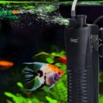How long can a fish tank filter Be Off?