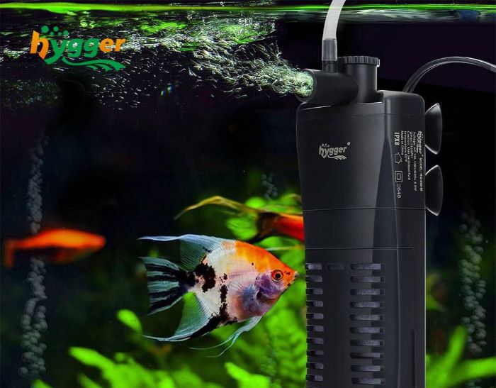 How long can a fish tank filter Be Off?