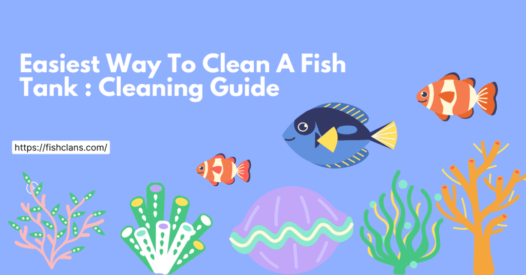 easiest-way-to-clean-a-fish-tank-cleaning-guide