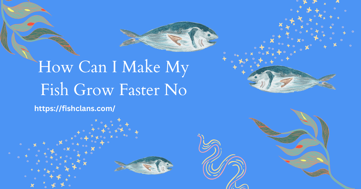 how-can-i-make-my-fish-grow-faster-no