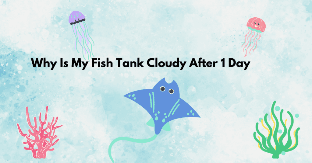 why-is-my-fish-tank-cloudy-after-1-day