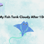 why-is-my-fish-tank-cloudy-after-1-day
